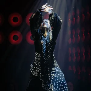 Flamenco Show Sevilla | Tablao flamenco Sevilla