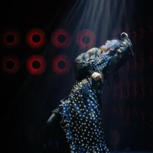 Flamenco Show Sevilla | Tablao flamenco Sevilla
